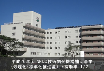 平成20年度 NEDO技術開発機構補助事業(最適化・標準化推進型）　*補助率：1/2